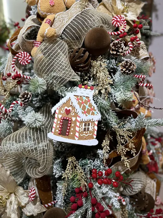 Montaje de jengibre en Ferrehome — foto 4 de 8